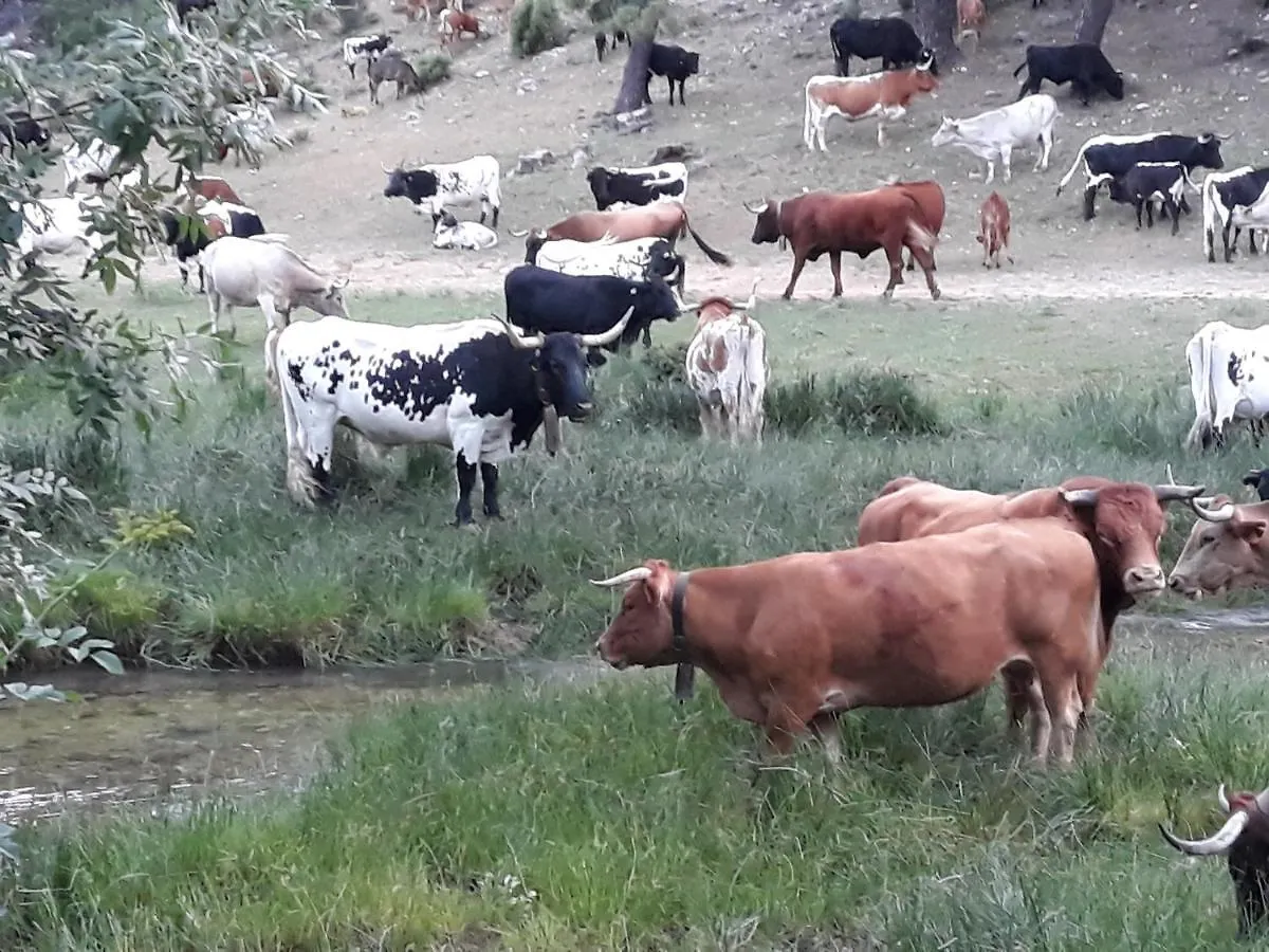 Daire Apartamentos El Risquillo Arroyo Frio İspanya