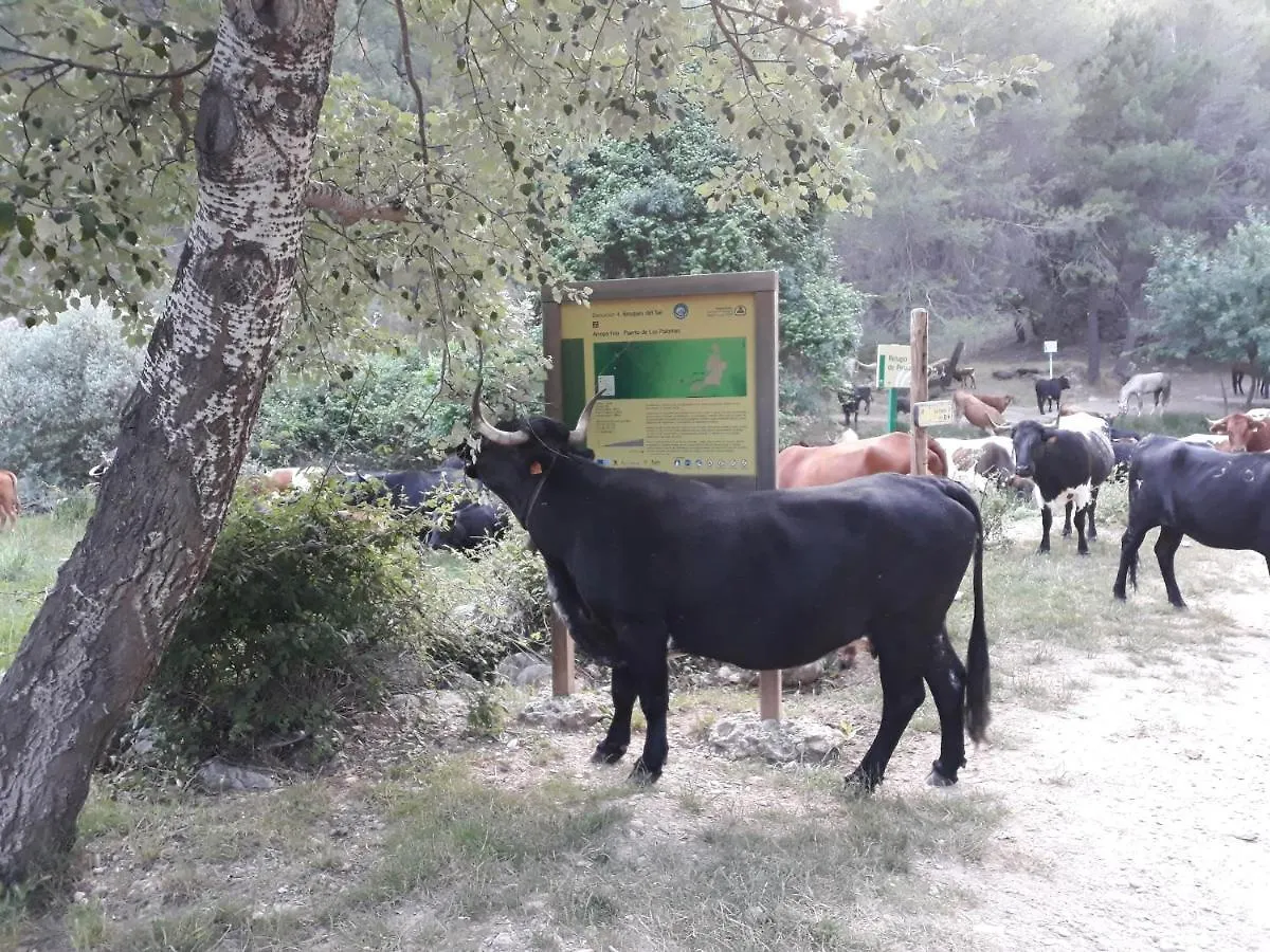Apartamentos El Risquillo Arroyo Frio Daire